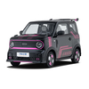 Geely Automobile - Panda