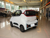 Wuling Nano EV Electric Vehicle Mini Electric Car