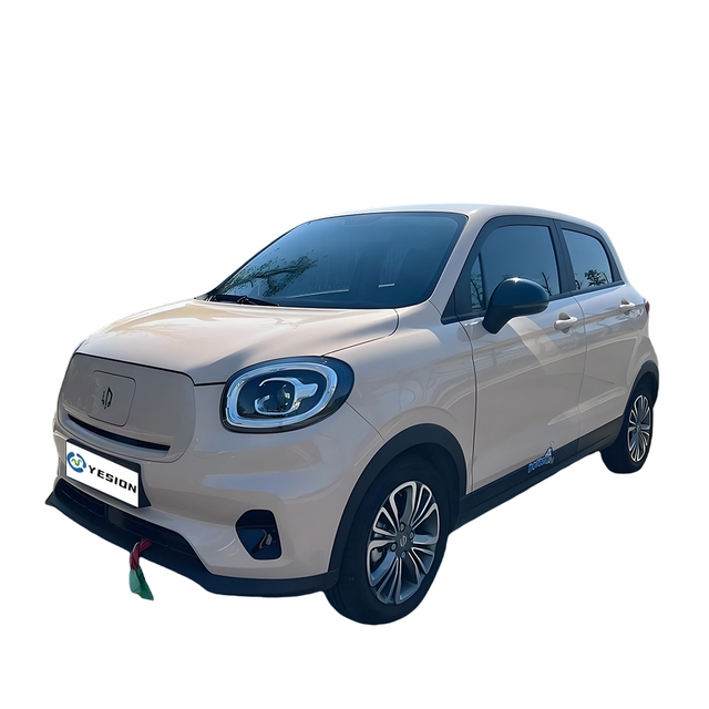 Leapmotor T03 Pure Electric Mini Car Premium New Energy Electric Vehicle
