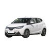 Electric Cheap Car Jianglin Small EV mini Car Little Kirin