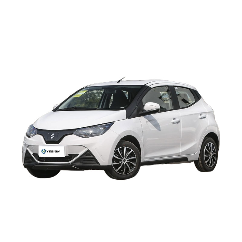 Electric Cheap Car Jianglin Small EV mini Car Little Kirin