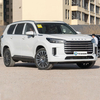Chery Starway Lantingyue C-DM New Chinese Cars Gas Gasoline Car