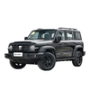 Great Wall Motor Tank 300 5-door 5-seater Compact SUV Car