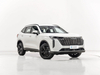Haval H6 SUV 2025 Petrol Car Auto Haval Gasoline Car Oil Fuel Made in China Automatic Gasoline SUV Car