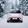 BYD Seagull Mini New Energy Vehicle Car