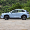 Chery Starway Chasing Wind C-DM Vehicle SUV
