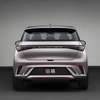 Yesion New Energy Byd Electric Car Dolphin New EV Vehicle Electrical Car